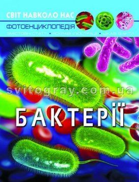 Мир вокруг нас. Бактерии