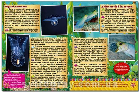 Подводный мир. Детская энциклопедия. Желтая (Глория)
