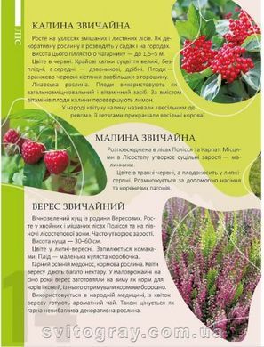Природа Украины. Энциклопедия для любознательных