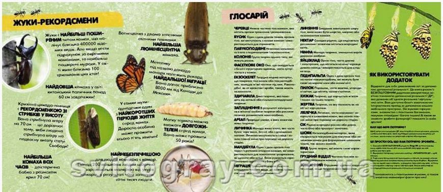 iExplore. Жуки