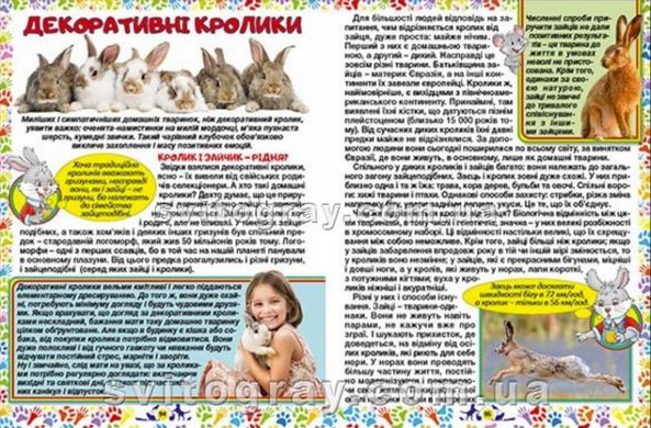 Домашние любимцы. Энциклопедия для детей (Глория)