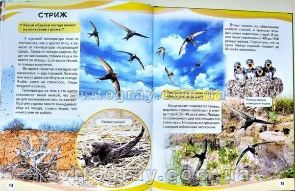 Мами та малюки (Тигр). Енциклопедія у запитаннях і відповідях