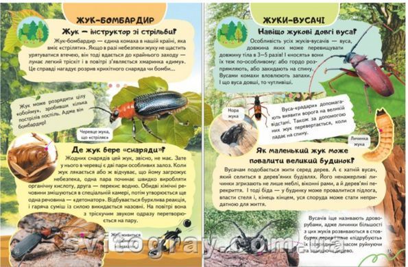 Цікава енциклопедія у подарунок розумійкам. Комахи