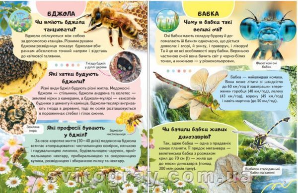 Цікава енциклопедія у подарунок розумійкам. Комахи