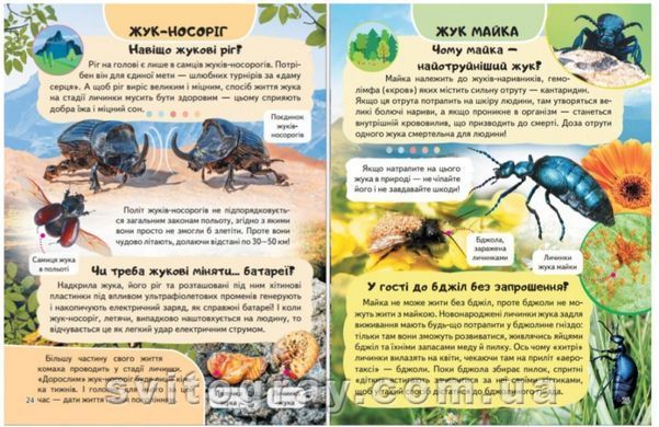 Цікава енциклопедія у подарунок розумійкам. Комахи
