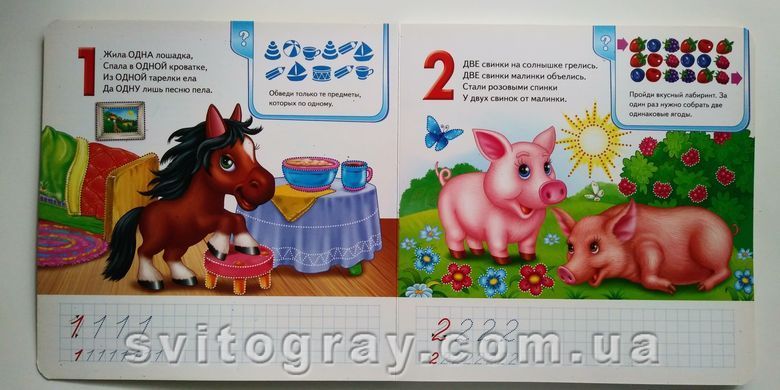 Пиши-стирай. Счет. Готовим руку к письму (с фломастером на водной основе)