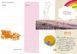 Travel Book 5