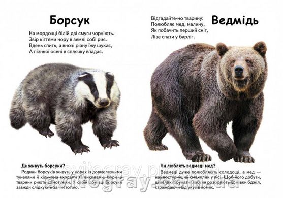 Мініенциклопедія. Хто це? Лісові тварини. Запитання та відповіді