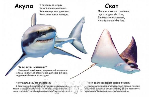 Мініенциклопедія. Хто це? Морські тварини. Запитання та відповіді