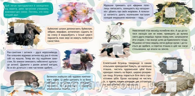 100 фактов. Животные (Талант)