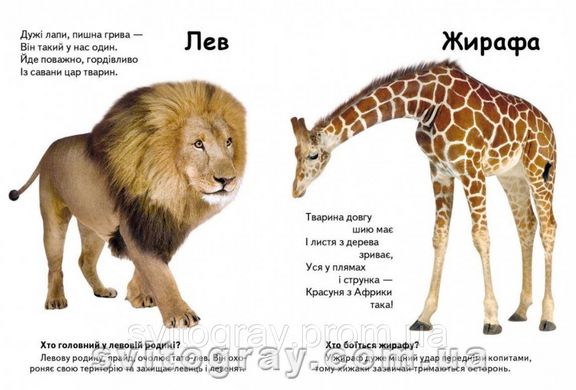 Мініенциклопедія. Хто це? Екзотичні тварини. Запитання та відповіді