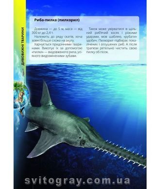 Обо всем на свете маленьким украинцам (Талант)