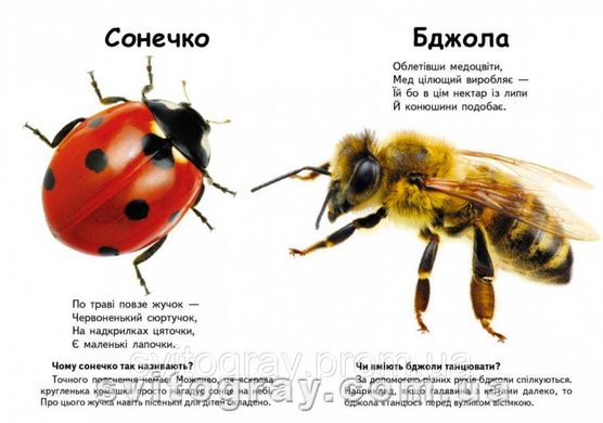 Мініенциклопедія. Хто це? Комахи і не тільки. Запитання та відповіді