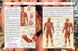 Усе про тіло людини. 1000 цікавих фактів
