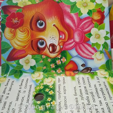 Цікаві книжки з оченятами. Солом'яний бичок (картонка А6)