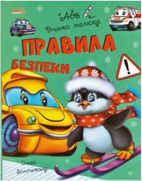 Правила безопасности (Ольга Золочевская)