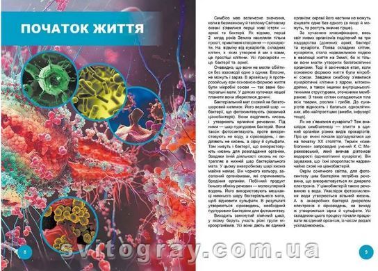 Кто с кем дружит, или чудеса симбиоза