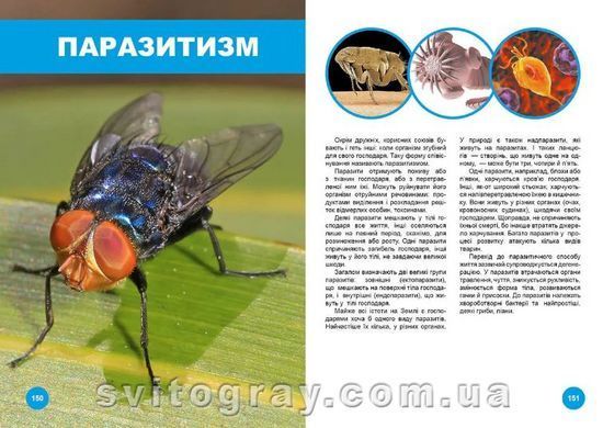 Кто с кем дружит, или чудеса симбиоза