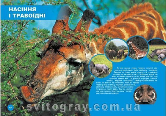 Кто с кем дружит, или чудеса симбиоза
