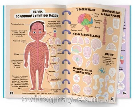 Меганаклейки. Тело человека (Crystal Book)