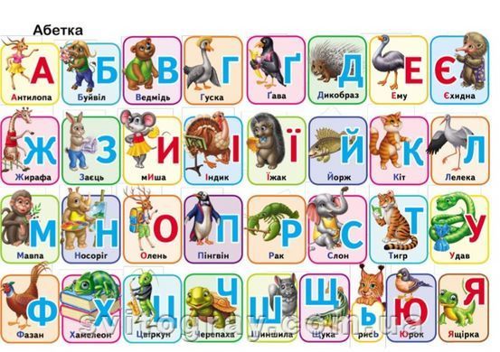 Ранній розвиток малюка. Перші знання малюка