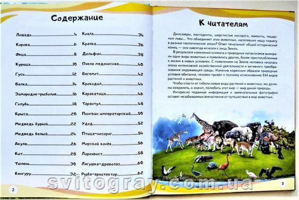 Мамы и малыши (Медведь). Энциклопедия в вопросах и ответах