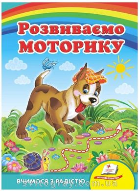 Розвиваємо моторику. Вчимося з радістю (книжка-картонка)