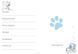 About my cat 03