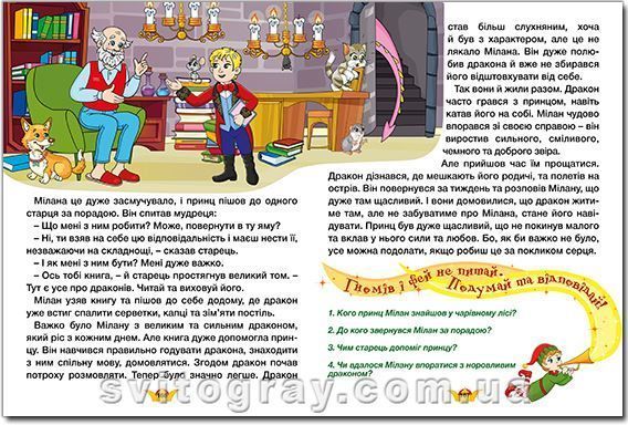 Принцессы и феи. Большая книга